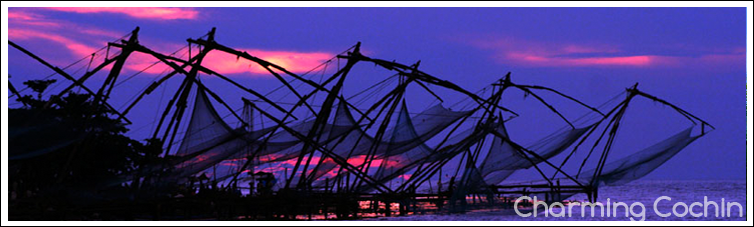 tour and travel companies in india